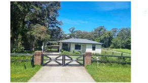 Tranquil Beach Retreat - Dog & Horse Friendly - Image 2