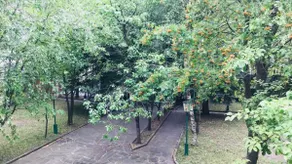Villa Chopikashvili - Image 5