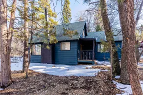 Serene Cabin Surrounded by the National Forest - Image 3
