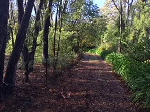 Hill Top Forest Retreat - Southern Highlands - Image 3