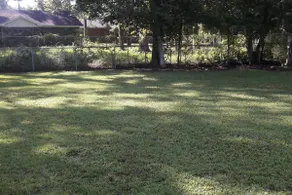 In the heart of Hinesville - Image 2