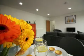 Diamond - Britannia Chambers Apartment 3 - Image 5