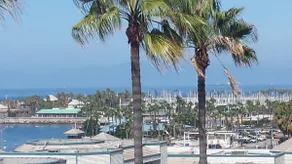 Real ocean view condo for rent! health safe place - Image 3