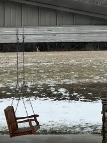 The Wildlife Plunge- Deer and Turkey, O MY! - Image 4