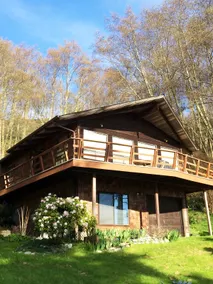 Whidbey Island west side “Seastar cottage”! - Image 4