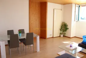 Leysin | Lovely Alpine Flat - Image 3