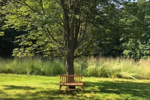 Charming Writer’s Cottage on 10 Acres of Land - Image 3