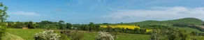 The Love Shack nr Elie & St Andrews - Image 5