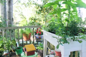 Happy Blue • A+ Historic Location • Porch • Gather - Image 3