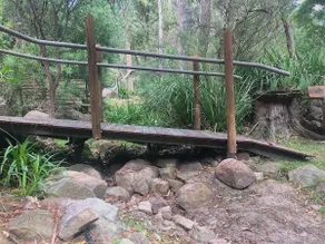 Shadygums - Image 4