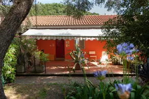 The Terrace overlooking the Bay - Fiascherino - Image 4