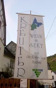 Ilse's Winehouse inbetween the nice Mosel Valley. - Image 3