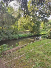 the Riviera at the Domaine des Oliviers - Image 3