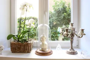 Ground floor with a garden to dream about - Image 5