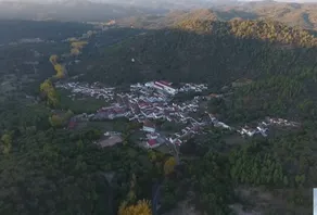 TIO TESORO - Image 2