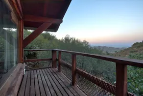 Cabin among olive trees - Image 5