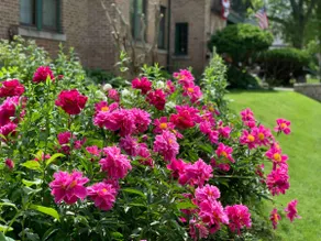 English Tudor - Upper Flat blocks from the beach - Image 3