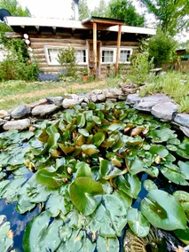Pond Casita: Farm Animal Hot Tubs Saunas - Image 4
