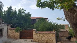 Fabulous stay in rustic Villa Platanus (est. 1840) - Image 2