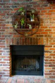 The Fox Den - Image 5