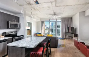 SPACIOUS 2 BEDROOM SUITE In the heart of Austin! - Image 5