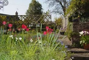 Landhaus mit Terrasse und Garten - Image 3