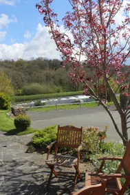 House by the River Barrow - Borris Co Kilkenny - Image 5