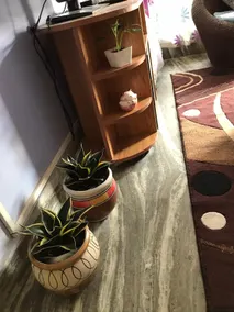 Lasaya apartment - Image 4