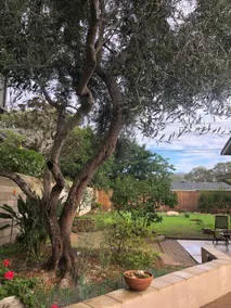 Beach/ Natural Preserve, Multi-Room - Image 2