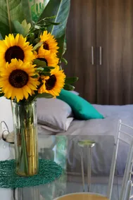 Beautiful Garden Cottage in Pinelands - Image 4