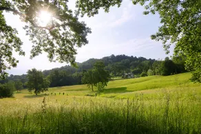 The Music Country House, between Asolo, the Prosecco hills and Monte Grappa - Image 2