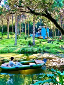 Cozy cottage in a Holistic Site (Hortênsias) - Image 2