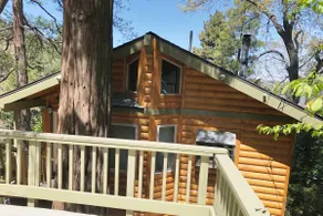 Peaceful Cozy Cabin Amongst the Trees with View of Lake Arrowhead - Image 5