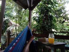 Jungle Paunch - Image 4