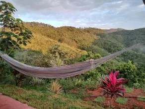 SANTO GRAAL - Homestead in Domingos Martins - Image 3