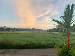 The Paddy Field - Private Pool Villas - Image 3