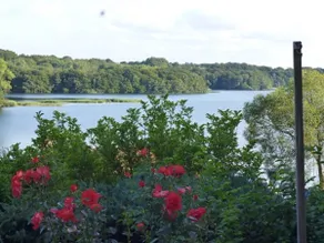 Lovely apartment in Eutin. Wi-Fi. Vacation with dog - Image 2