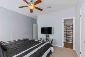 Modern 3BR Home near Busch Gardens W/ free WiFi - Image 4