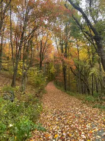 Whitetop Bluff Cabin - Image 5