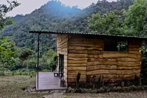 Cabin in the woods. Birds, nature and rest - Image 2