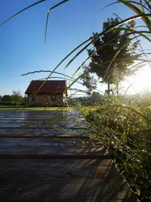 3. Summer cottage surrounded by greenery, Rewal commune - Image 3