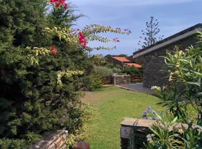 Casa Ginepro - between the beach and the cliff - Image 4