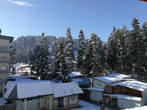 BOROVETS Royal Plaza - A409 - Image 4