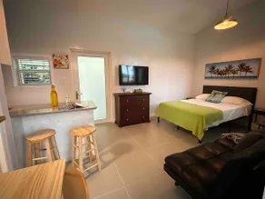 Your Own Private Tropical Studio - Image 3