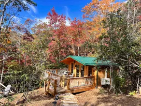 Secluded Cabin in Nature| Waterfall+Goats+Hiking - Image 2