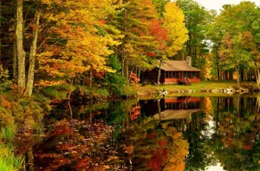 Beautiful Lakefront Log Cabin - Image 4