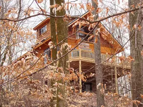 Timber Ridge Cabin Apartment, Franklin/ Leipers! - Image 2