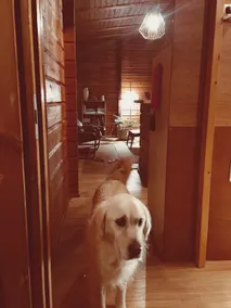 The Cabin - Image 5