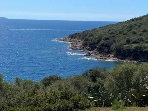 Sagone villa sea view - Image 5