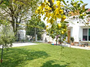 Guesthouse with a pool - Image 5
